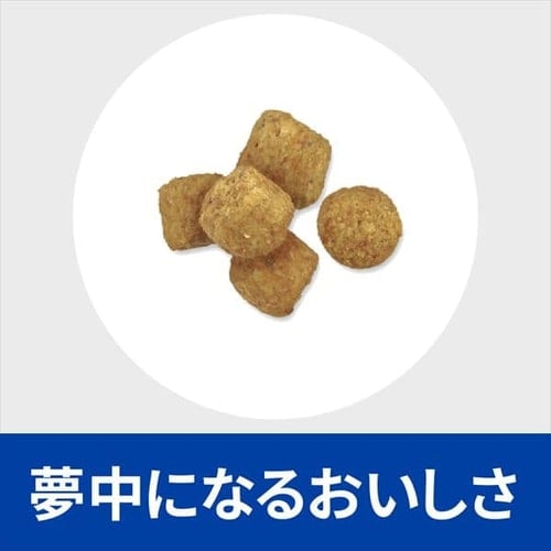 ヒルズ 特別療法食 犬用 体重減量 r/d 小粒 3kg2