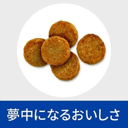 ヒルズ 特別療法食 犬用  w/d 消化/体重/糖尿病管理 レギュラー粒 3kg2