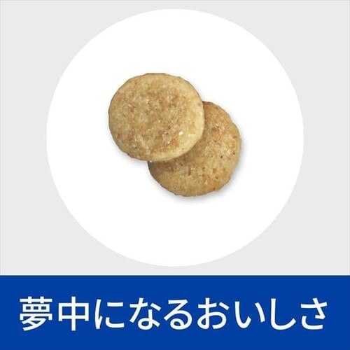 ヒルズ 特別療法食 犬用 尿ケア u/d 3kg2