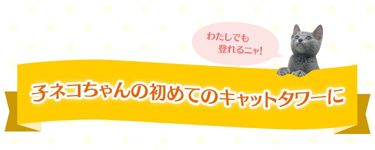子ネコちゃんの初めてのキャットタワーに