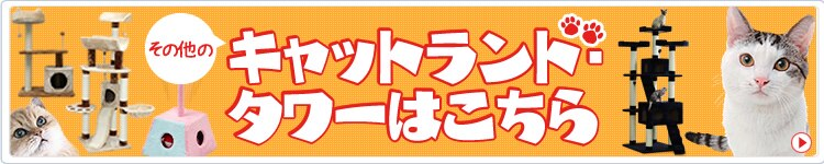 キャットタワー特集