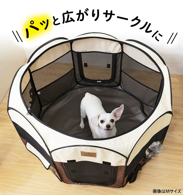 パッと広がりサークルに