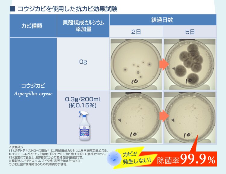 コウジカビを使用した抗カビ効果試験