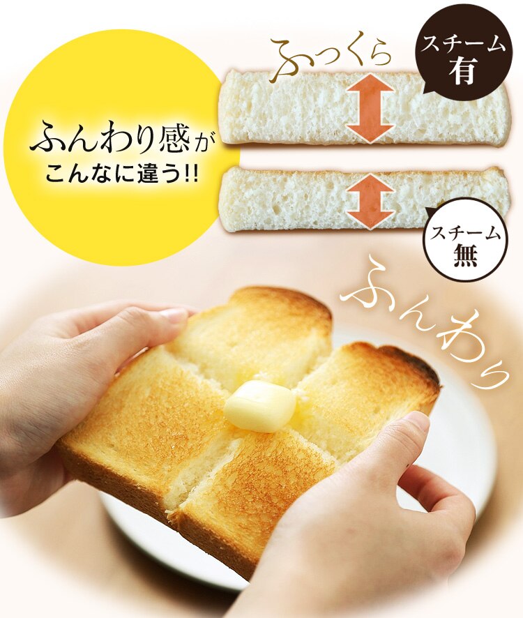 ノンフライ熱風オーブン FVX-D3B-S17