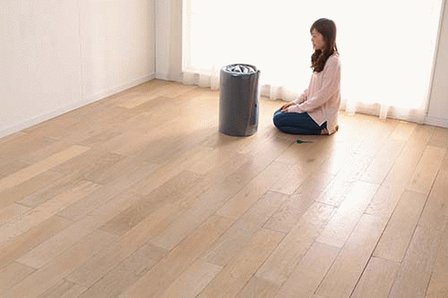 ���k���[������J������A�j��