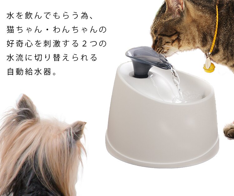 ペット用自動給水機 ホワイト/クリア PWF-2004