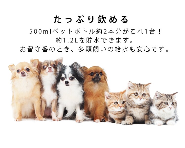 ペット用自動給水機 ホワイト/クリア PWF-20016