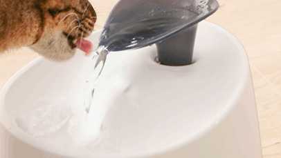 ペット用自動給水機 ホワイト/クリア PWF-2001