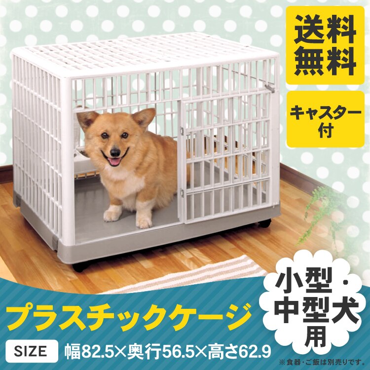 プラケージ８１０　ベージュ