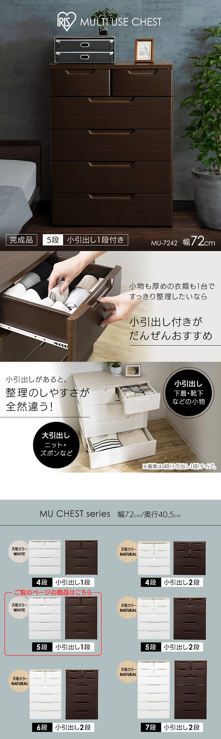 �����o��1�i �`�F�X�g5�i