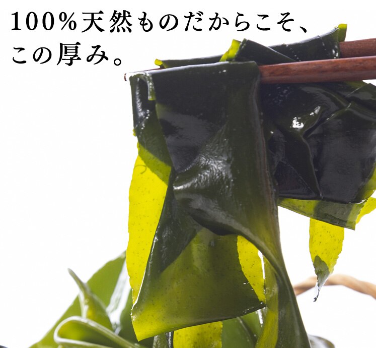 三陸産新物生わかめメカブセット 1kg 【代引き不可】3
