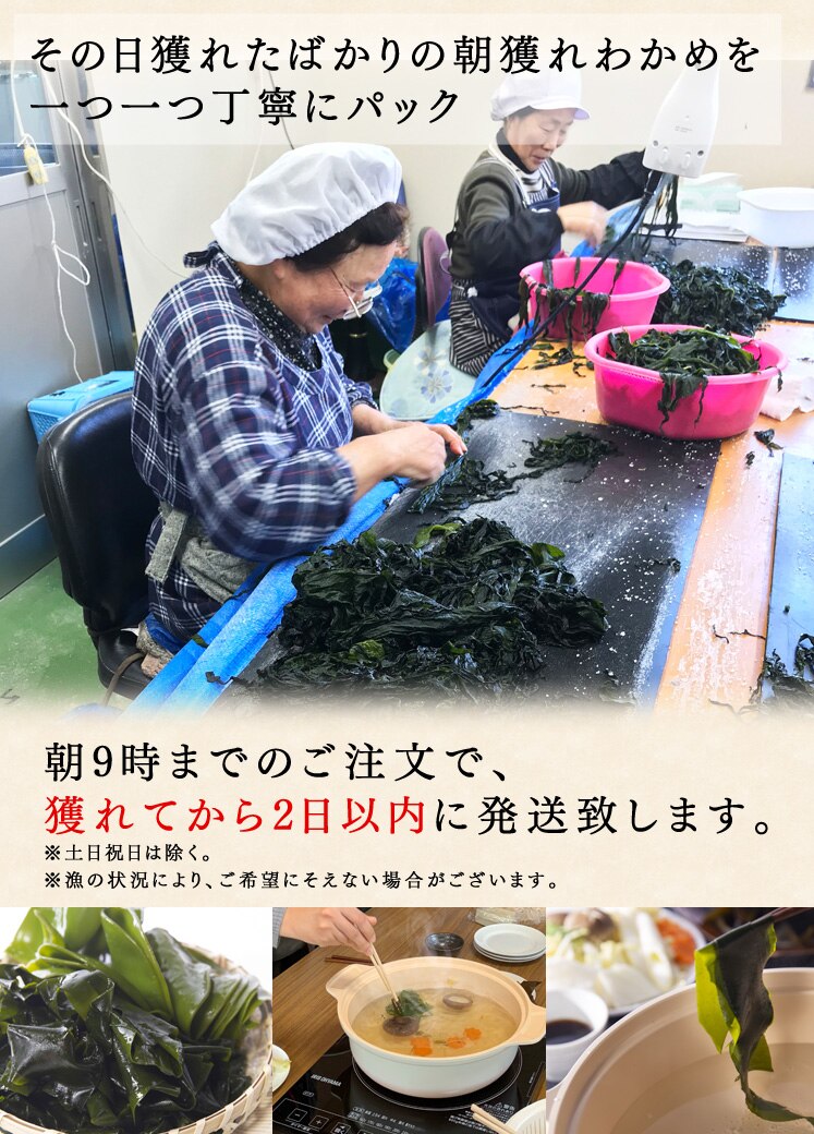 三陸産新物生わかめメカブセット 1kg 【代引き不可】4