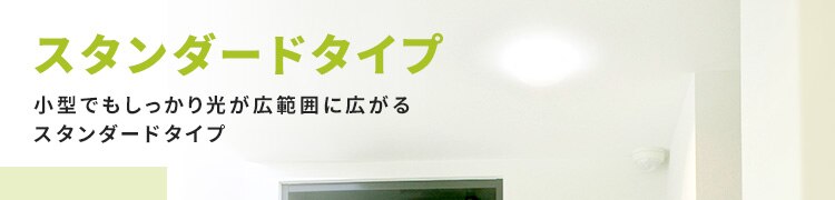 �X�^���_�[�h�^�C�v