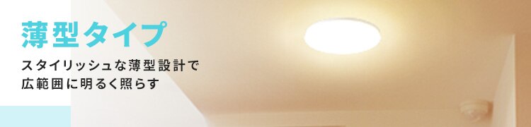 ���^�^�C�v