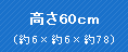 ����60cm