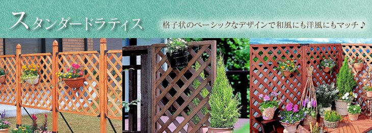 �X�^���_�[�h���e�B�X