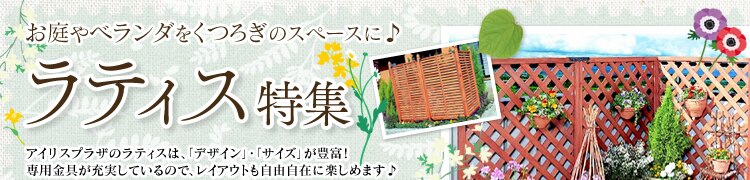 ���e�B�X���W