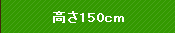 ����150cm