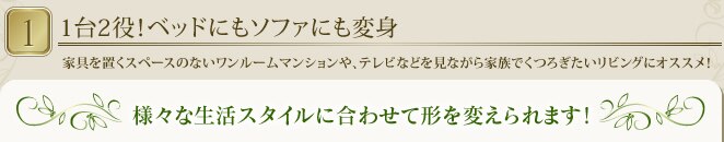 ソファベッド 1人掛け ベッド シングル 折りたたみ 肘掛け 14段階リクライニング 厚さ8cm OTB-SFN4