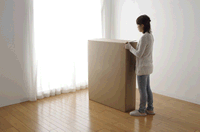 ソファベッド 1人掛け ベッド シングル 折りたたみ 肘掛け 14段階リクライニング 厚さ8cm OTB-SFN2