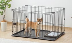 �V�X�e���T�[�N��