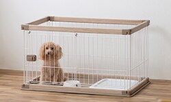 �E�b�f�B�T�[�N��