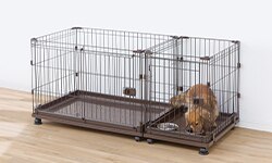 �R���r�l�[�V�����T�[�N��