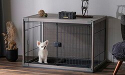 �C���e���A�E�b�f�B�T�[�N��