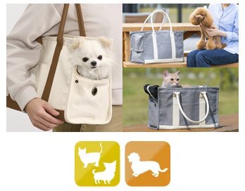 �L�����o�X�g�[�g�L�����[