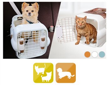 �h���C�u�y�b�g�L�����[