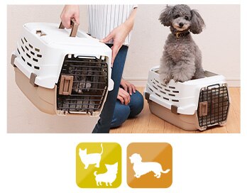 �y�b�g�L�����[�z���C�g/�x�[�W��