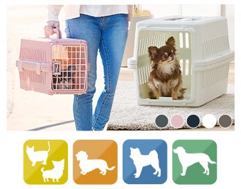 �G�A�g���x���L�����[