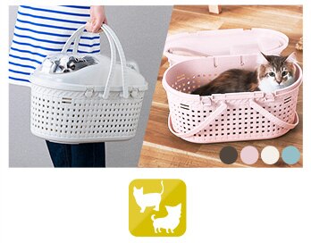 ���b�V���y�b�g�L�����[