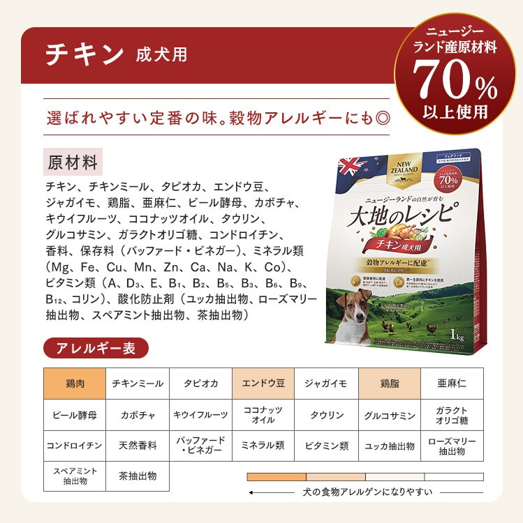 ���p�t�[�h �`�L��