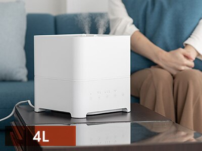 Hanx-Homeʲ�دĉ�����4L