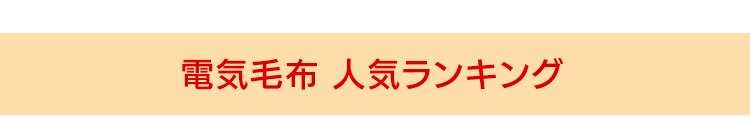 電気毛布 敷き 80&times;140? フランネル 自動切タイマー EHB-F1480-DT ダークブラウン【前払い不可】【代引き不可】【同梱不可】0