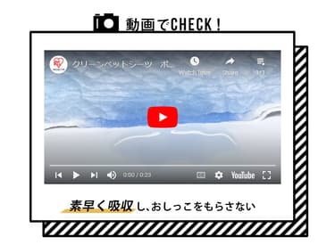【352枚】 厚型 超吸収ペットシーツ レギュラー 88枚&times;4袋 犬 トイレ7