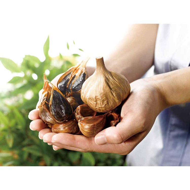 【倉庫登録】青森県産黒にんにく熟成 【時間指定不可】【代引不可】【同梱不可】【プラザセレクト】