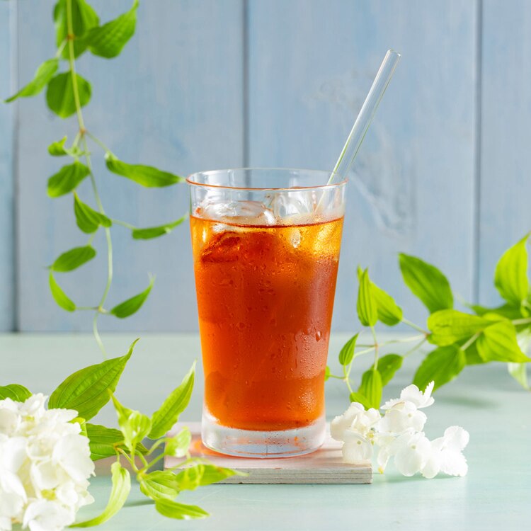 ティーライフ ルイボスティー 101個入 93491 【プラザセレクト】