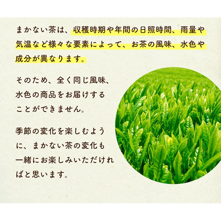 ティーライフ ティーライフのまかない茶 100個入 90751 【プラザセレクト】