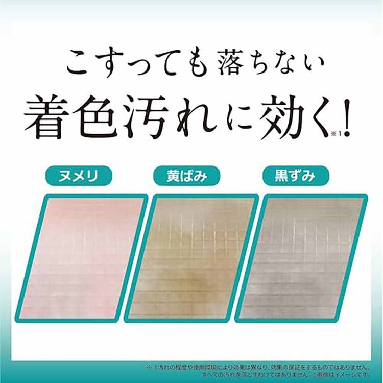 LIBERTA クロズミトルネード 浴室用床洗浄剤 6009400 【プラザセレクト】