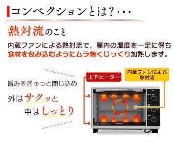 �R���x�N�V�����Ƃ́H