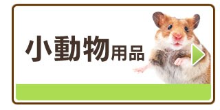 �������p�i