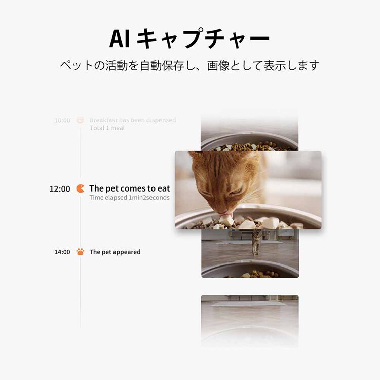 PETKIT カメラ付自動給餌器 P571 【プラザセレクト】