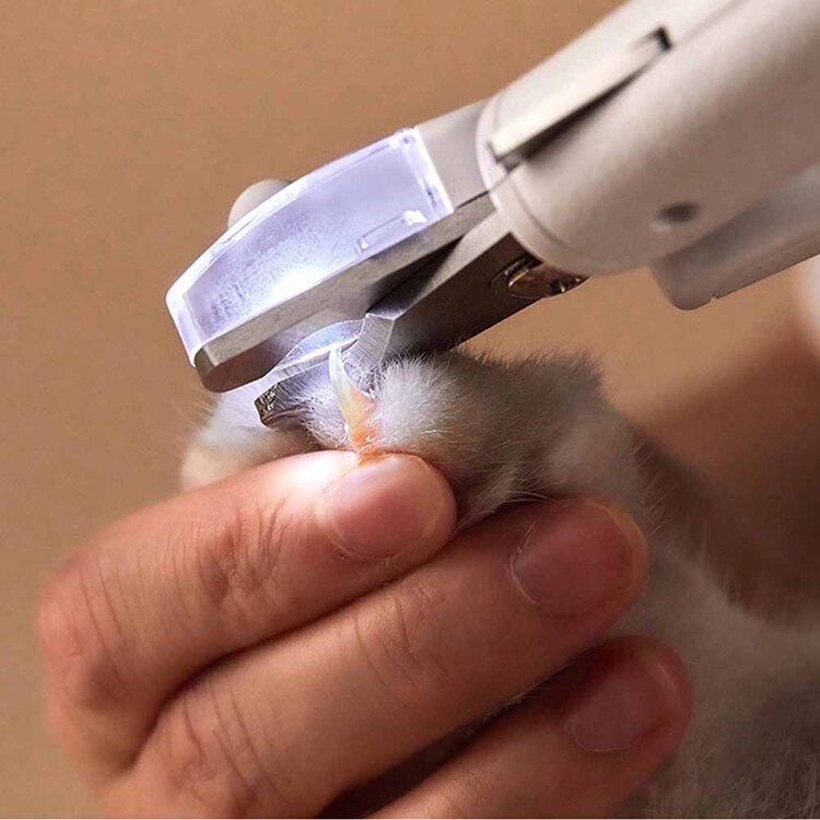 PETKIT 爪切り PK403 【プラザセレクト】